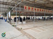 گلزار شهدای تهران - بهشت زهرا سلام الله علیها