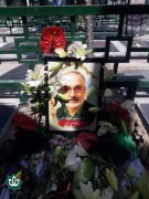 شهید دکتر سعید برجی
