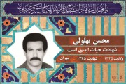 شهید محسن بهلولی