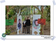 قاب عشق-در راه قتلگاه فکه، حضور در پادگان حاج احمد متوسلیان-دوکوهه (49)