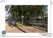 قاب عشق-در راه قتلگاه فکه، حضور در پادگان حاج احمد متوسلیان-دوکوهه (163)