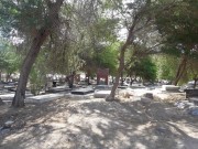 گلزار شهدای روستای سیدعباس