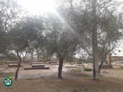 گلزار شهدای روستای سید عرب
