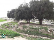 گلزار شهدای روستاهای زیرزرد و دوریکل - بقعه امامزاده احمد