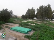گلزار شهدای روستای تل غویله (تل زرینی) - وادی السلام