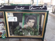 شهید سلمان برجسته