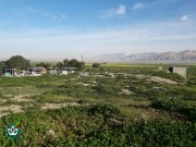 گلزار شهدای روستای کردستان کوچک