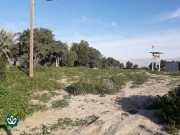 گلزار شهدای روستای کردستان کوچک