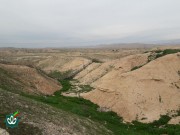 گلزار شهدای روستای بیدزرد