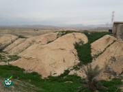 گلزار شهدای روستای بیدزرد