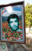 شهید حمیدرضا جهانی