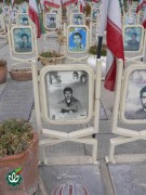 شهید محمدرضا روغنی زاده