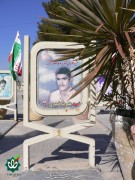 شهید علیرضا قیصری