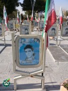 شهید محمود زندیان
