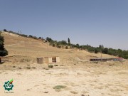 گلزار شهدای روستای حاجی کمال - شاهزاده عبدالله