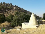 گلزار شهدای روستای چهل تنان