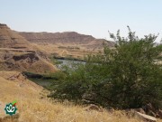 روستای بوالحسن (بخش سردشت)