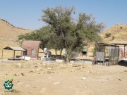 گلزار شهدای روستای گاومیر (بخش سردشت)