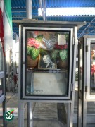 شهید علی حسین عالمی