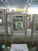 شهید مرتضی فغانی