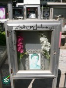 شهید فرهاد شفیعی