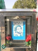 شهید محمدرضا صمدی