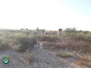 گلزار شهدای روستای زورآباد (حاج جعفر)