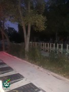 گلزار شهدای شهر خوانسار