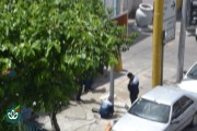 نصب اولین تابلوی گلزار شهدا در تهران سال 1405